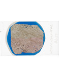 MGRRE_ThinSections_13-A_44