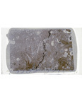 MGRRE_ThinSections_MGRRE-03_1