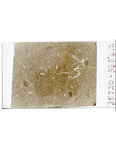 MGRRE_ThinSections_MGRRE-03_16