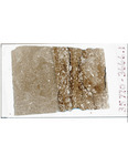 MGRRE_ThinSections_MGRRE-03_18