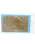 MGRRE_ThinSections_MGRRE-07_4
