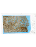 MGRRE_ThinSections_MGRRE-07_6