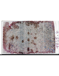 MGRRE_ThinSections_MGRRE-09_12