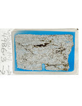 MGRRE_ThinSections_MGRRE-31_98