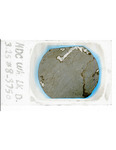 MGRRE_ThinSections_MGRRE-41_5