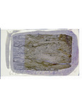 MGRRE_ThinSections_MGRRE-47_5