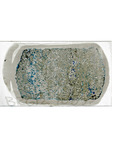 MGRRE_ThinSections_MGRRE-48_17