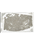 MGRRE_ThinSections_MGRRE-53_99