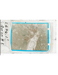 MGRRE_ThinSections_MGRRE-55_24