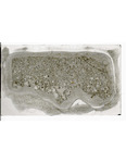 MGRRE_ThinSections_MGRRE-63_3