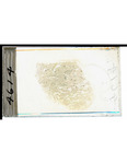 MGRRE_ThinSections_MGRRE-76_1