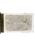 MGRRE_ThinSections_MGRRE-87_2