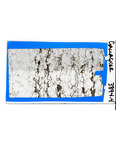 MGRRE_ThinSections_MGRRE-95_14