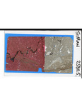 MGRRE_ThinSections_MGRRE-150_3