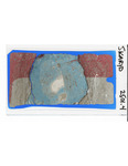 MGRRE_ThinSections_MGRRE-150_25