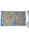MGRRE_ThinSections_MGRRE-151_4