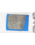 MGRRE_ThinSections_MGRRE-152_18