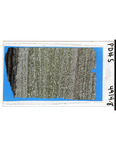 MGRRE_ThinSections_MGRRE-152_24