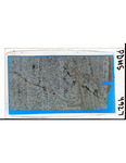 MGRRE_ThinSections_MGRRE-152_27