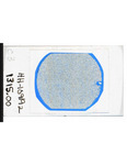 MGRRE_ThinSections_MGRRE-129_3