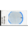 MGRRE_ThinSections_MGRRE-129_7