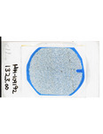 MGRRE_ThinSections_MGRRE-129_11