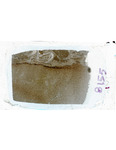 MGRRE_ThinSections_MGRRE-147_1
