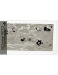 MGRRE_ThinSections_MGRRE-147_8