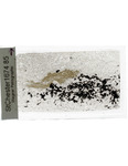 MGRRE_ThinSections_MGRRE-147_9