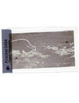 MGRRE_ThinSections_MGRRE-147_24