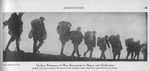 Internees Walk Home from Germany