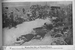 Repatriated Wounded and Sick American and British POWs