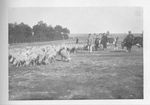 Sheep and Dairy Farming on a German Prison Camp